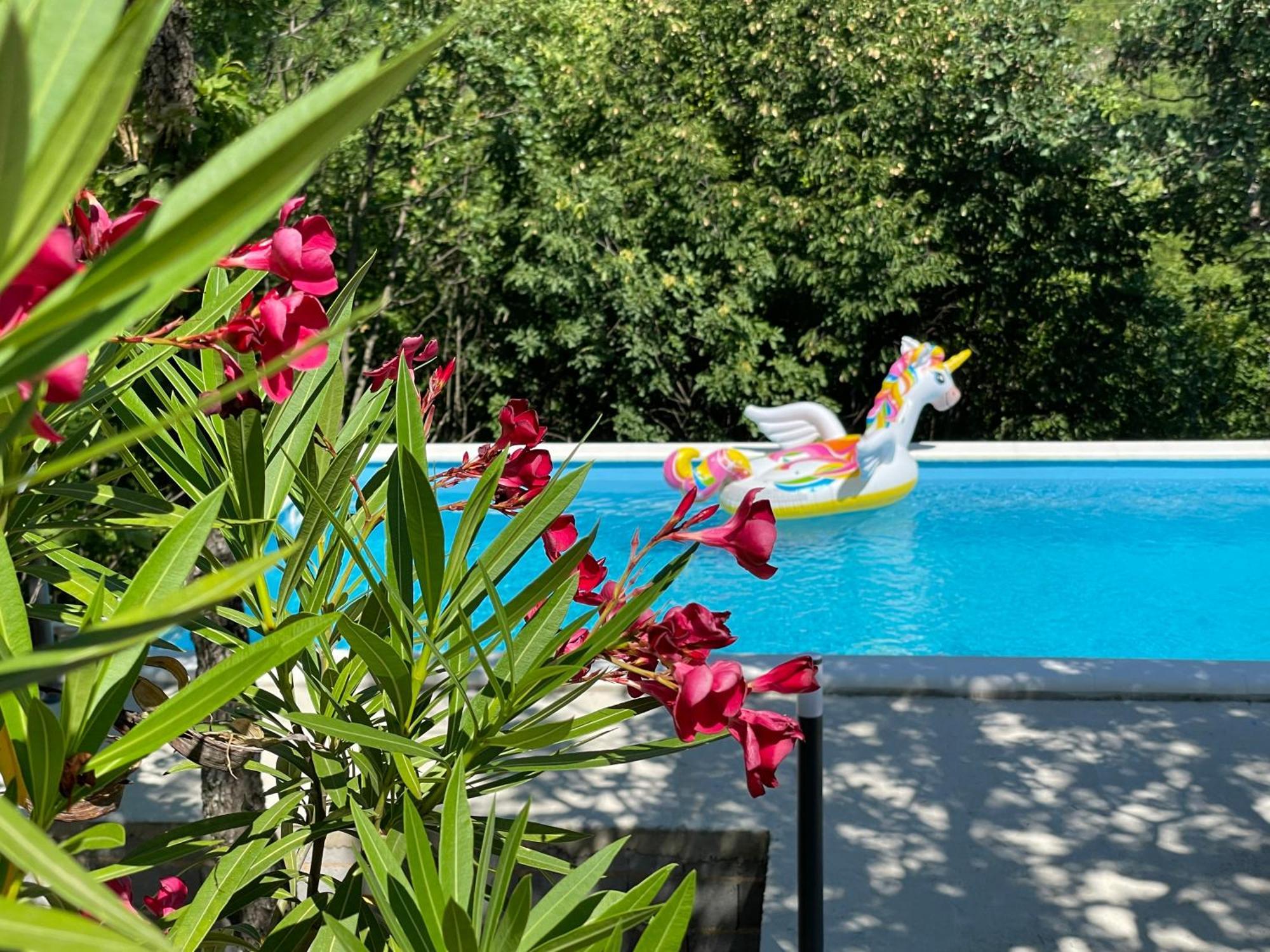 Holiday House Dunamis Krivodol Exterior foto